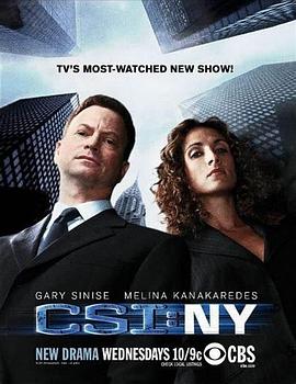 犯罪现场调查：纽约第五季第11集