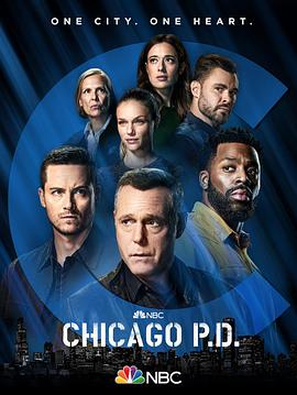 芝加哥警署 第九季第17集