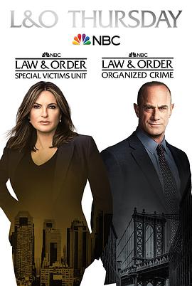 法律与秩序：组织犯罪第二季第20集