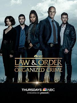 法律与秩序：组织犯罪第三季第03集